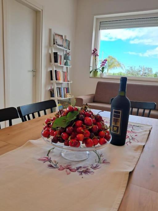Malia Holiday Villa Conversano Zewnętrze zdjęcie